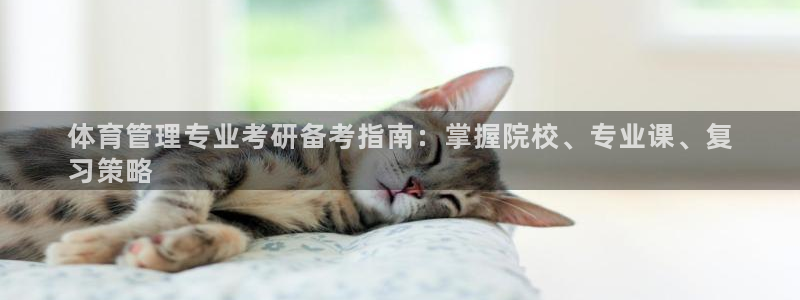 必一体育黑平台：体育