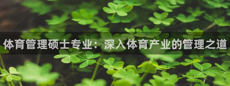 必一体育sport：