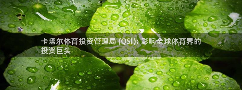 必一体育黑钱：卡塔尔