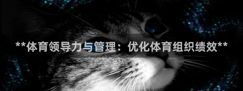 必一体育运动app：