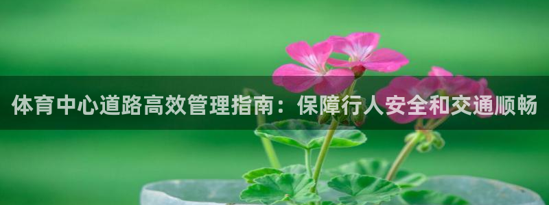 必一体育没了：体育中