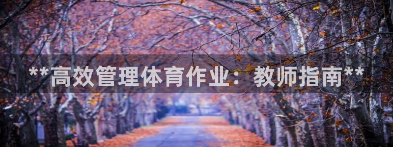必一体育官方网站入口
