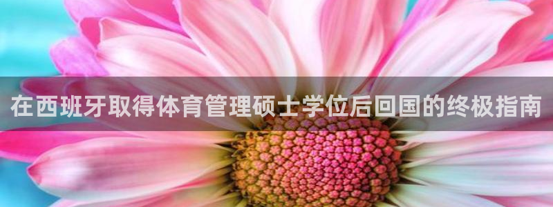 必一体育手机下载：在