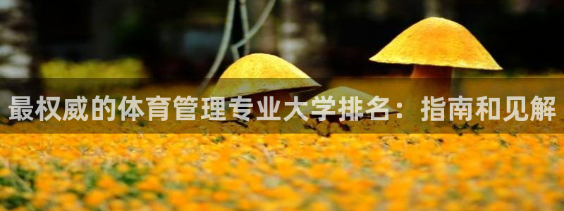 必一体育在线下载：最