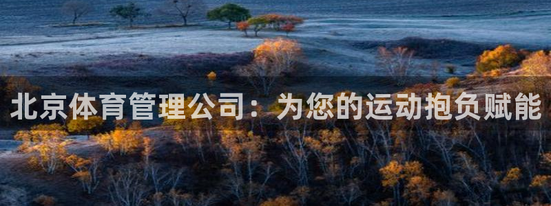 必一体育在哪下：北京