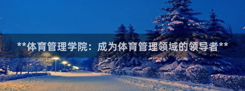 必一体育最新官网入口
