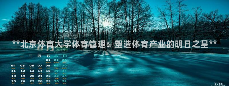 必一运动·(B-sp