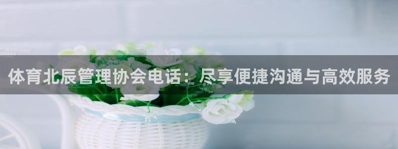 必一运动体：体育北辰