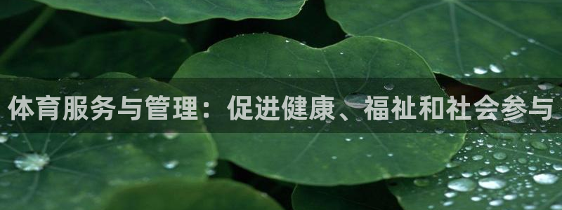 必一体育平台：体育服