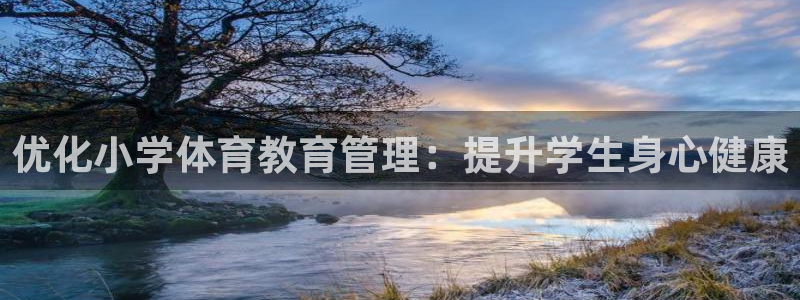 必一体育：优化小学体