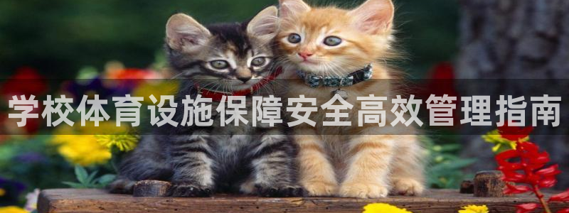 必一运动官网入口：学