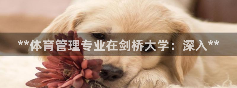 必一体育登录入口：*