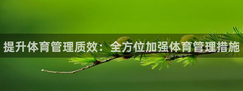 必一体育网站：提升体