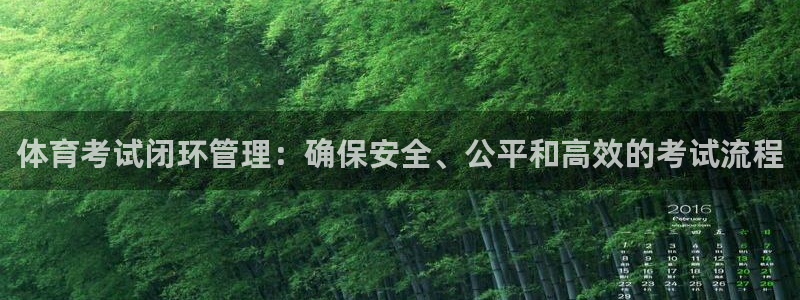 必一体育bsport