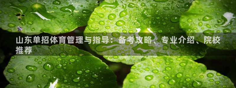 必一体育电子app：
