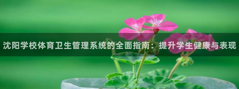 必一体育官方app下