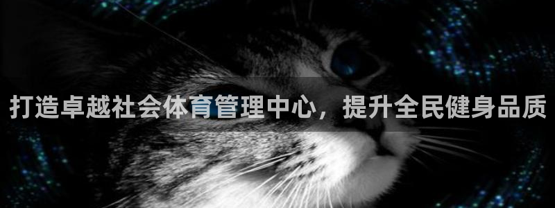 必一体育网页版登录：