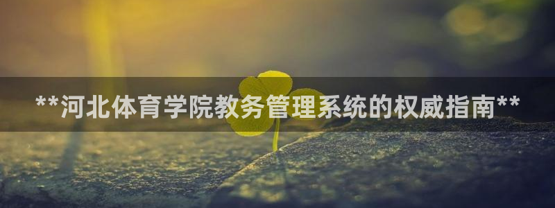 必一运动官网登录入口