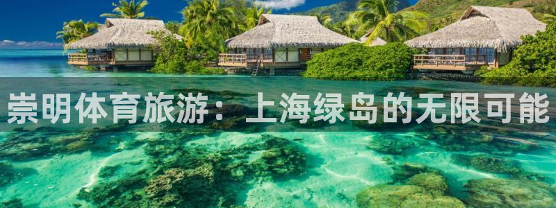 必一体育sport下载