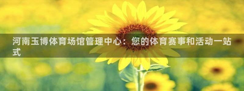 必一体育游戏玩法：河