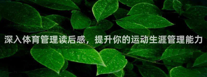 必一体育网页版登录：