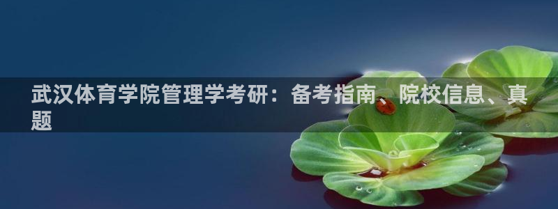 b体育必一运动网页版