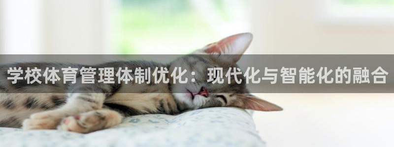 必一运动·(B-Sp