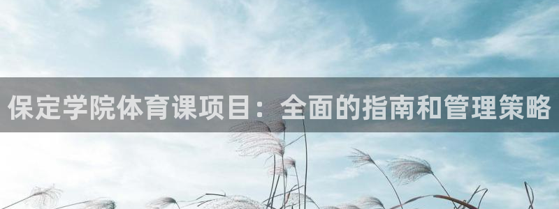 必一体育服下载最新版