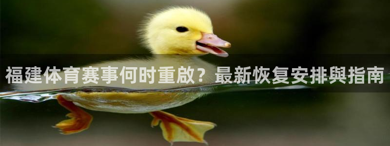 必一体育sport官方网站