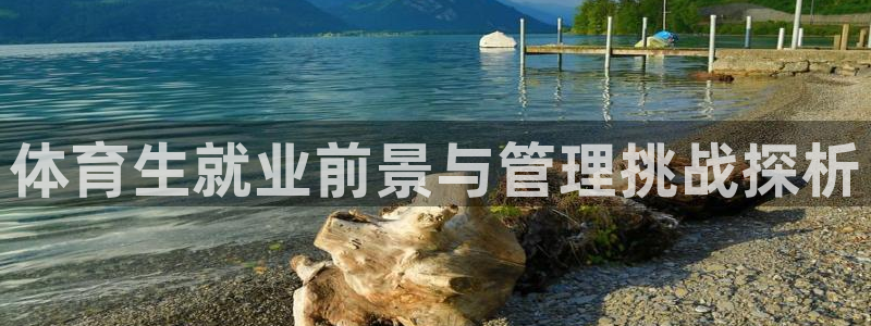 必一体育电子app：