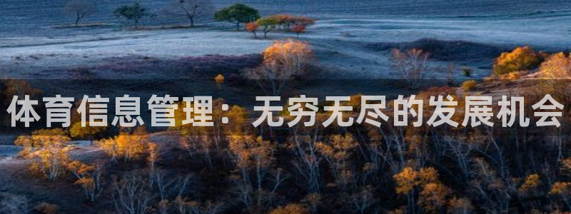 必一运动：体育信息管