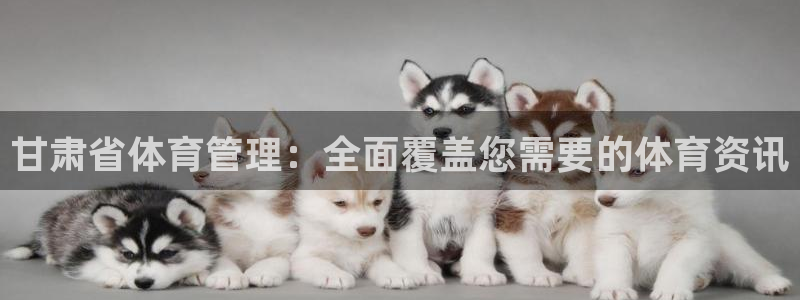 必一体育怎么下载：甘