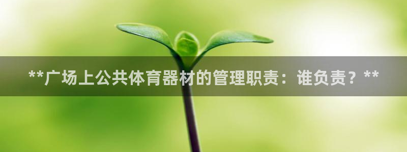 必一体育官网入口：*