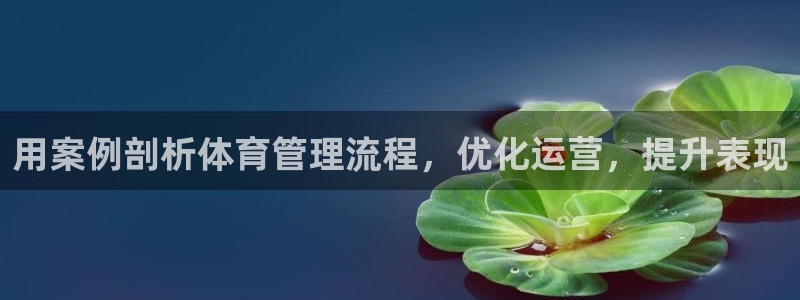 必一体育没了：用案例