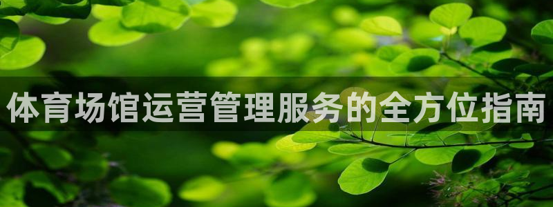 必一运动体育官网下载