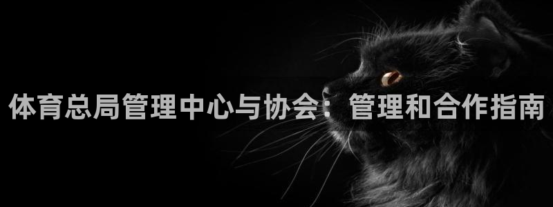 Bsport体育必一