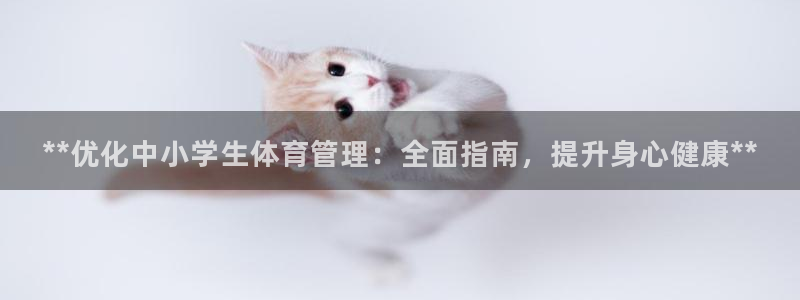必一体育下载一样吗：