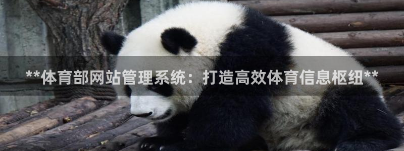 必一体育在线下载：*