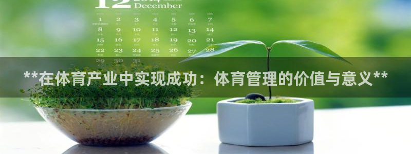 必一体育验证码：**