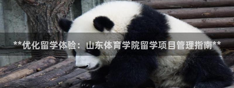 必一体育网站：**优
