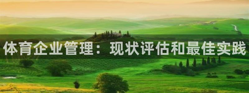 必一体育下载一样吗：