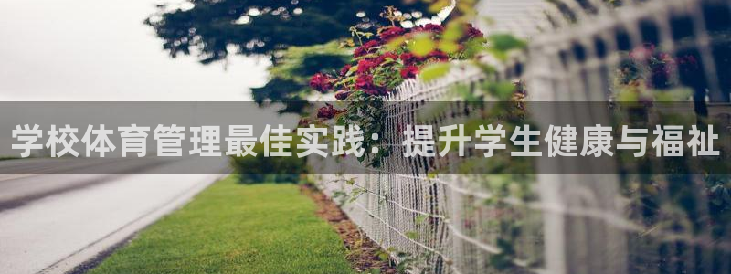 必一体育网站：学校体