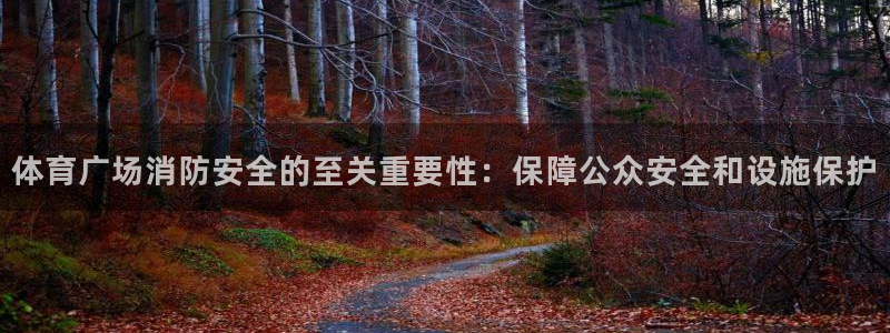 必一体育下载app下