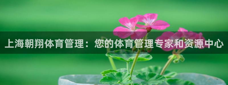 必一体育官方网站入口