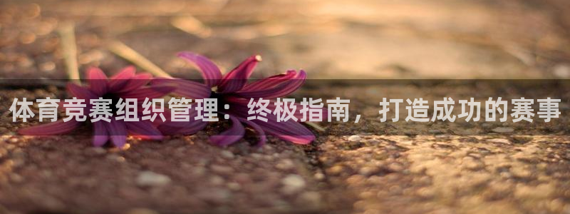必一体育app官方下