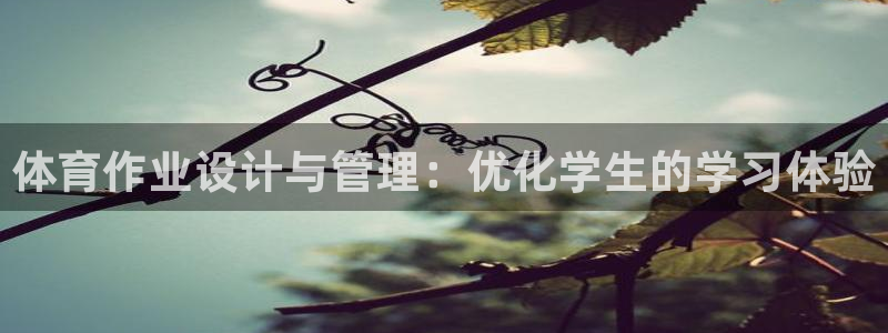 必一体育游戏玩法：体