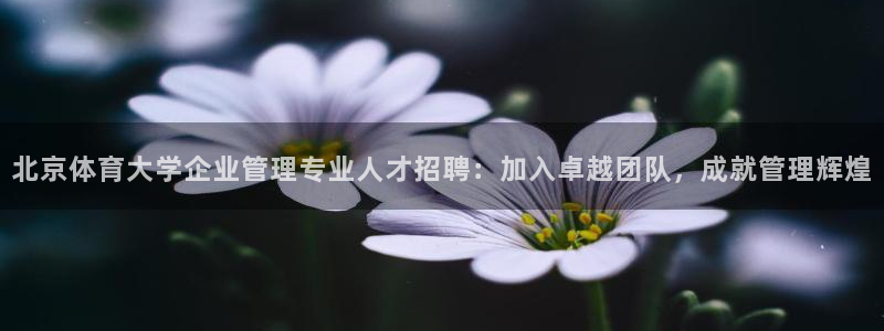 必一体育sport官