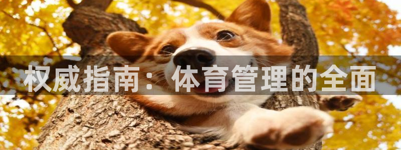 必一运动官网装机吧：
