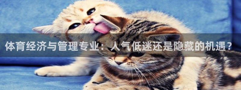 必十二和必一的副作用