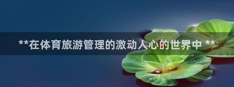 **在体育旅游管理的
